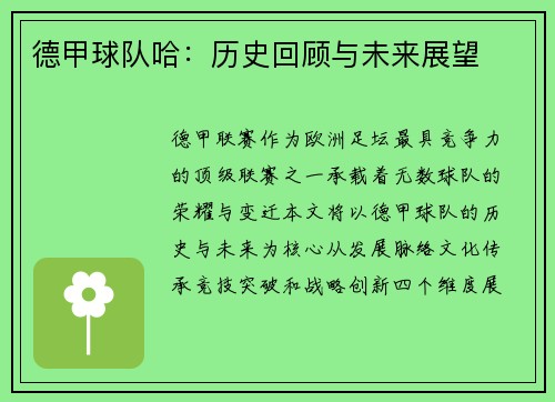 德甲球队哈：历史回顾与未来展望