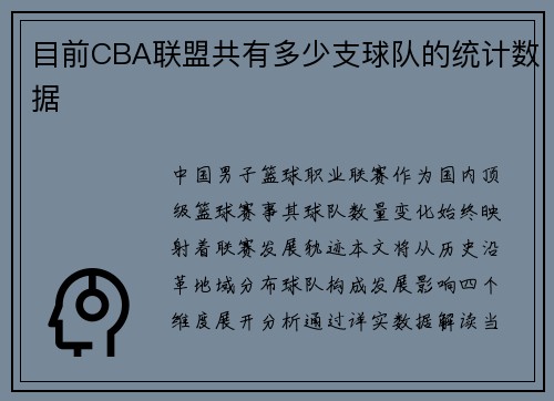 目前CBA联盟共有多少支球队的统计数据